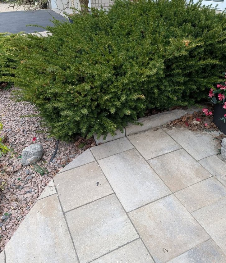 ReLeaves Landscaping landscaping work