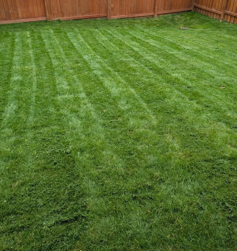 ReLeaves Landscaping landscaping work